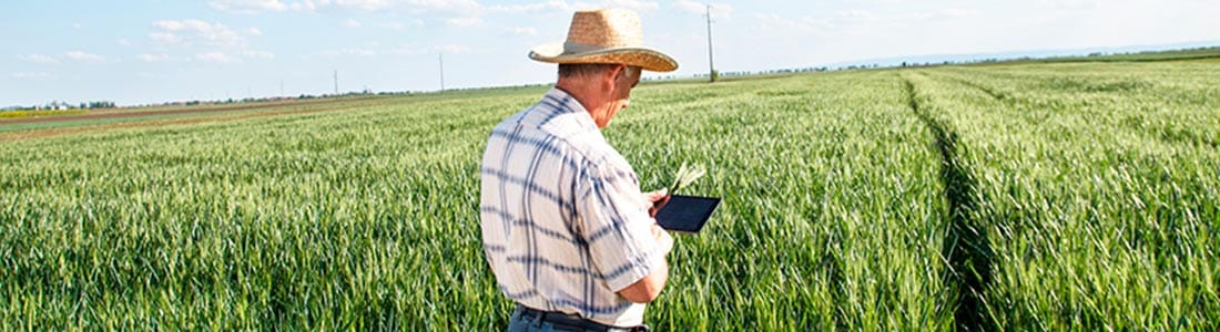 Tempo de trabalho rural e a antecipação da aposentadoria do servidor público